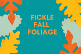 Fickle 93.3 Fall Foliage